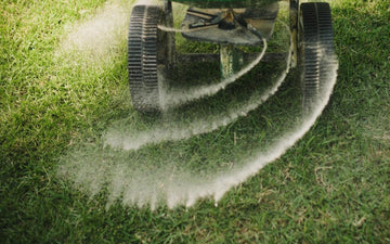 Fertilizing