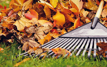 Fall Clean-up Checklist for Your Lawn