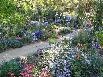 Ideas to Beautify your Lawn and Garden for Fall
