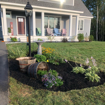 The Dirty Bird: A Better Looking, Better Venting Septic Solution