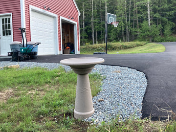 why Homeowners Are Replacing Ugly Septic Vent Pipes with The Dirty Bird