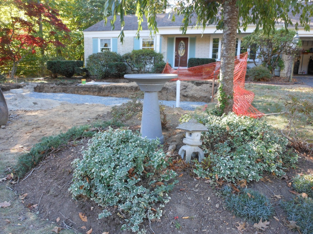 A Beautiful Yard with a Bigger Purpose: The Dirty Bird Is Audubon-Approved!