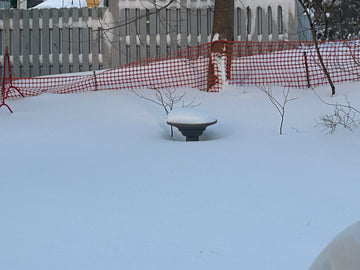 Heavy Snow, No Problem.